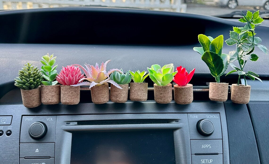 Fresh Florals® Succulent Air Freshener Vent Clips